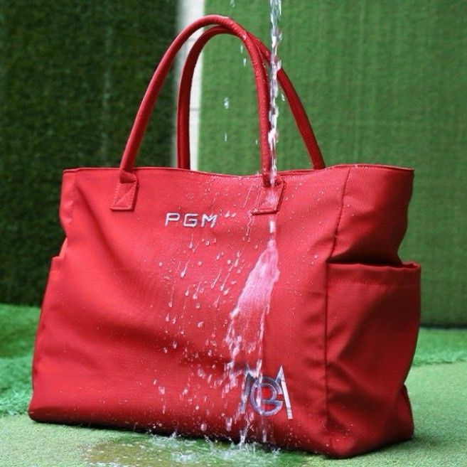 pgm020 01